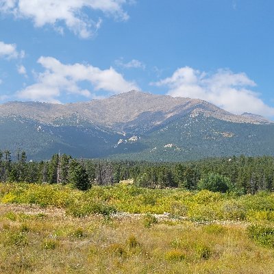 DianeBrown51066's profile picture. 