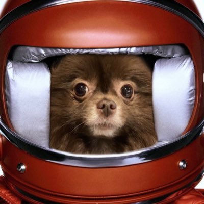 jenrubyco's profile picture. dm me for permission to speak on jennie