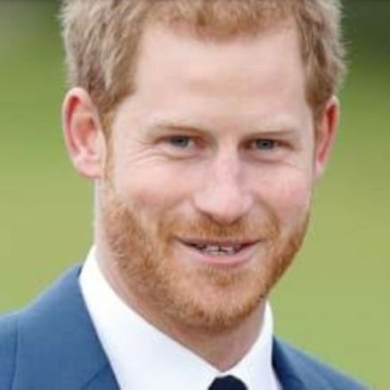 Wales299087's profile picture. Prince Harry of Wales