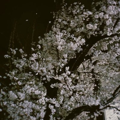 merciful_lemon_'s profile picture. クイズとどら焼き/南山高1/NGQ(@njyoquiz)部長