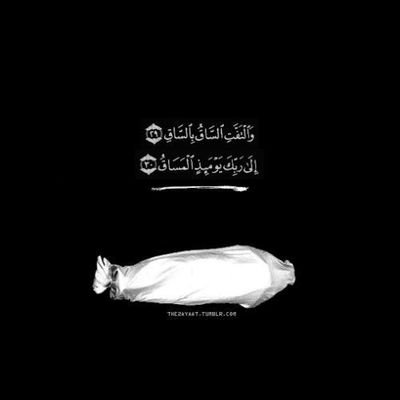 islaaaaam_x's profile picture. Hadith, Dua's & Qur'an. 

SUNNAH
