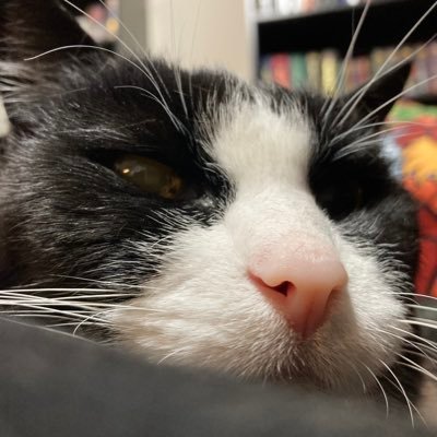 HarliePurple's profile picture. I've got a Bachelor's in Theatre and another in Video Production. Work for the dreaded MSM. Love reading, and my job!  “You don’t get control of my tongue.” -JP