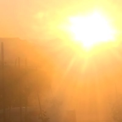 wolfmusa's profile picture. Bin cihana değişmem bu öksüz Türklüğümü. Ziraat Mühendisi,Sosyoloji,Felsefe. !,,,, Üç devle savaşıyoruz sevgili Sancho adaletsizlik,korku ve cehalet••••••