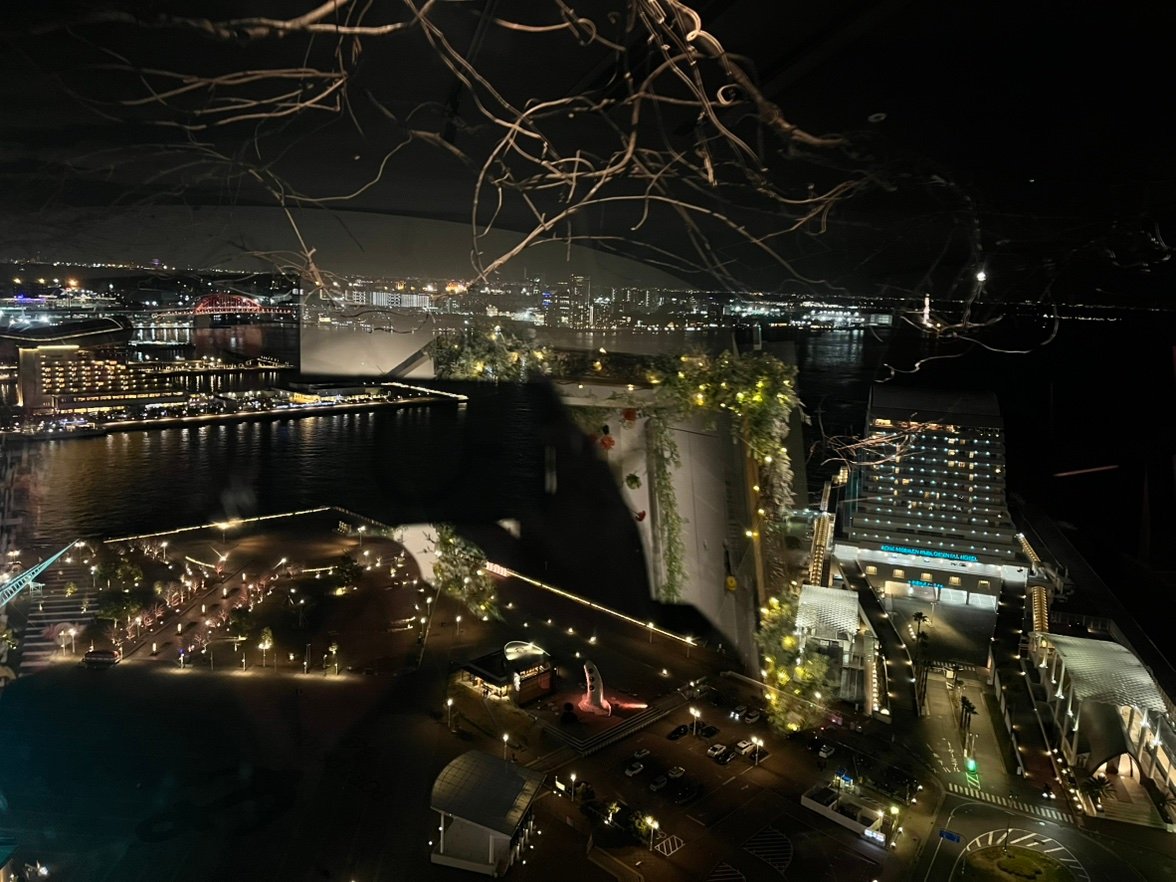 KokukiMinash's profile picture. 