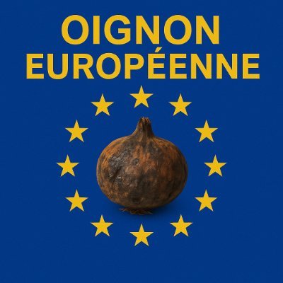EVeilleo's profile picture. Profil d'expression libre