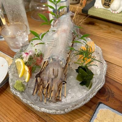 Mihar529's profile picture. 仕事が大好きで、成功、喧騒、情熱、そして料理が大好きです。
旅の達人、
コーヒー好き、本好き、そして瞑想も大好きです。
夢を追いかけてます。
無言フォローとDMごめんなさい😞😕