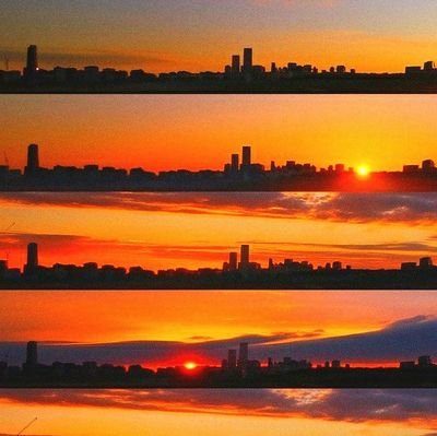 iamfreeami's profile picture. 🎯 news, stories, highlights…