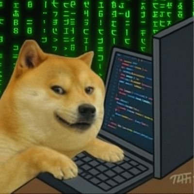cheemsbyte404's profile picture. 404