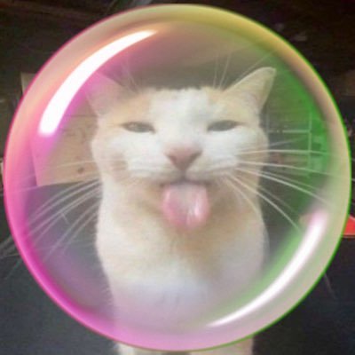 lethalnpc's profile picture. blehh