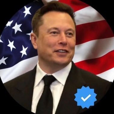 mus516k's profile picture. 