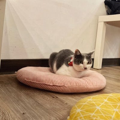 HsuBetty73417's profile picture. 