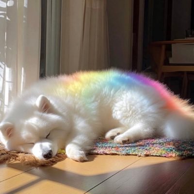 👽시나몬さんのプロフィール画像