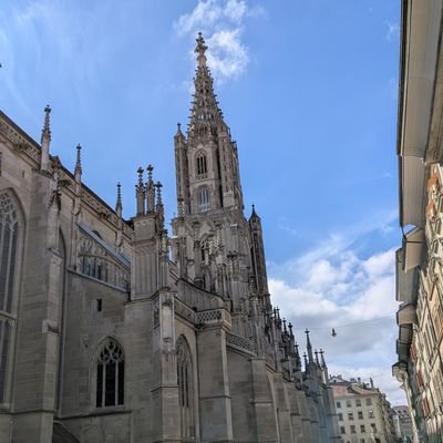 TanjaDjord74973's profile picture. 