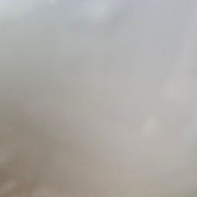 greytommie's profile picture. im a slut for porn and would love to see it in my dms. my telegram username = (greytommie)       always free for sexting