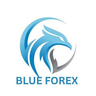 Blue_Fx07's profile picture. Free Perfect Trading Signals Provider & Account Manager For More Info Join Us On Telegram Link in Bio 👇🏻