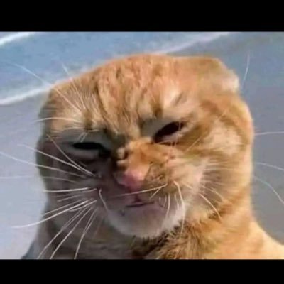 ArturZakrz's profile picture. 