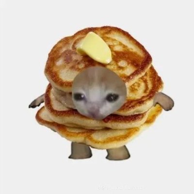 pancakeytt's profile picture. Dev @Roblox | 15