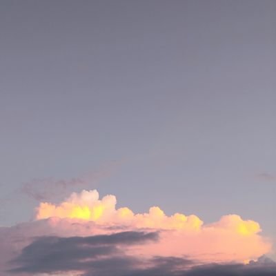 samanthabrendaa's profile picture. 