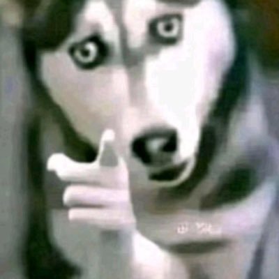 br3adhouse's profile picture. 