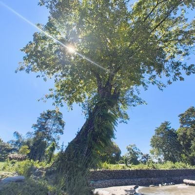 pragyan_prajnan's profile picture. Mathematics| Geopolitics| Finance| Self motivation| Learner mindset| Daily tweets...