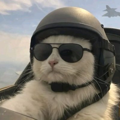 Octagon_320's profile picture. बिहारी ✈️…..( फॉलोवर ऑफ़ गोल्डन रूल्स ) (#LFP)         #प्रवासी_मजदूर
