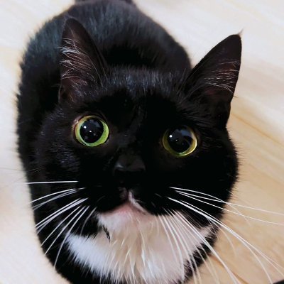 lardconsumer's profile picture. lard tastes great, 20 years of age
I LOVE MY SLUDGE!
#sludge