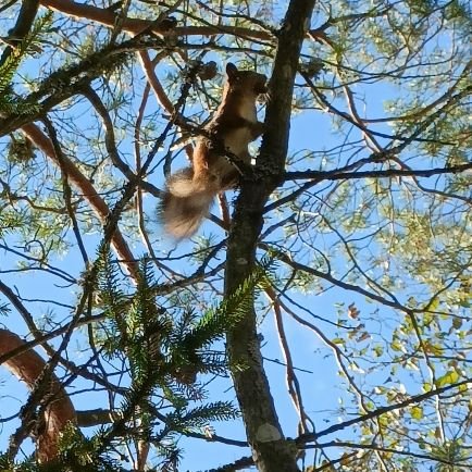 m_rko's profile picture. ♥♠