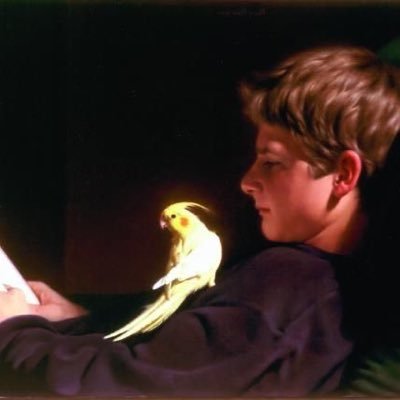 xinvnii's profile picture. 