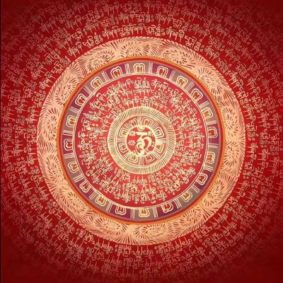 xiyu5665's profile picture. 