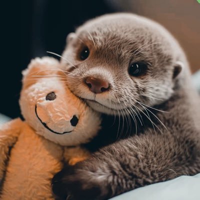 @NotimeNe