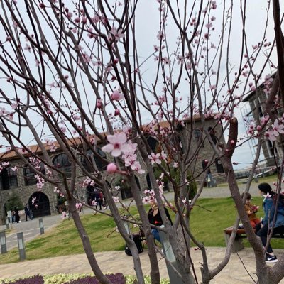 Merve2364's profile picture. PAU Psikolojik Danışmanlık ve Rehberlik