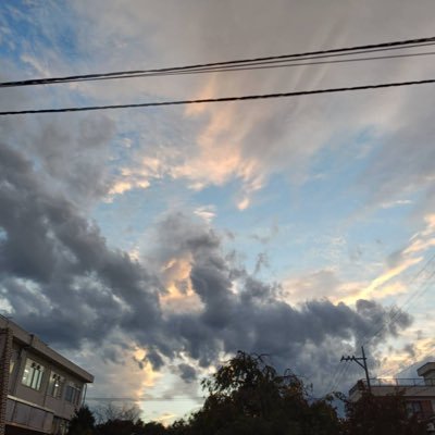 R0S0kU's profile picture. ホロリス初心者！ ホロリス仲間になってくれる子男女問わず募集してる！ 年齢が近かったら嬉しいかも 今制限がかかっちゃってフォロバができない！