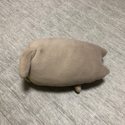 sii_oza's profile picture. 色々ゲームアカウント🎮
