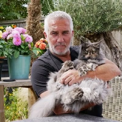 paulhollyw51793's profile picture. lover of music