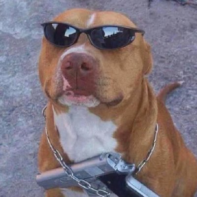 Ittste3's profile picture. unc status real