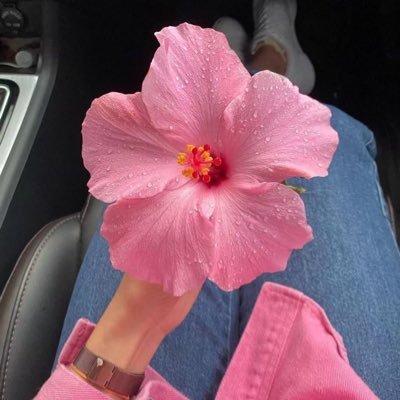 Mrh22757852's profile picture. ﷽ {وَعَسَى أَنْ تَكْرَهُوا شَيْئًا وَهُوَ خَيْرٌ لَكُمْ وَعَسَى أَنْ تُحِبُّوا شَيْئًا وَهُوَ شَرٌّ لَكُمْ وَاللَّهُ يَعْلَمُ وَأَنْتُمْ لَا تَعْلَمُونَ} 🫶🏻