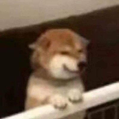 ren_4am's profile picture. 
