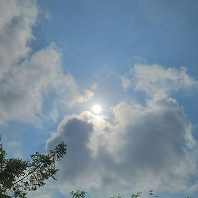 post_realityy's profile picture. Reality 🌠