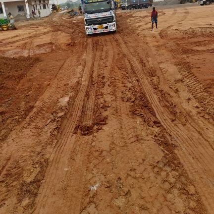 NPeddadine74642's profile picture. 