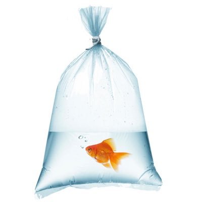 @kindfishfriend