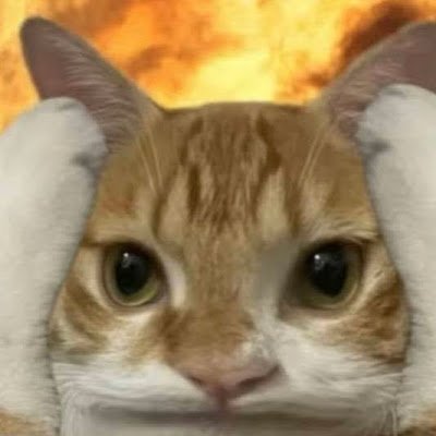 MerafeQ63638's profile picture. 