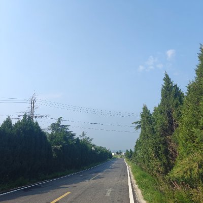 ynH9Um4g6e40617's profile picture. 