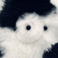 𝘩𝘰 (@eki8910) 's Twitter Profile Photo