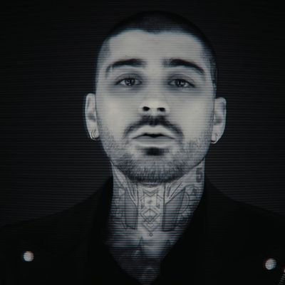 sweatzains's profile picture. niazkilam