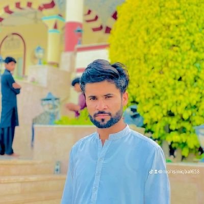 MohsinIqba96880's profile picture. 