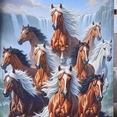 de_santo37289's profile picture. 