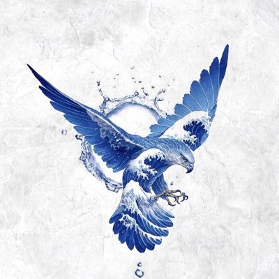 EagleMinimal's profile picture. sharpness 🦅🌒   #QL1 Ethereum L1(Evm)