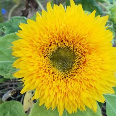 DanaSLJL's profile picture. 