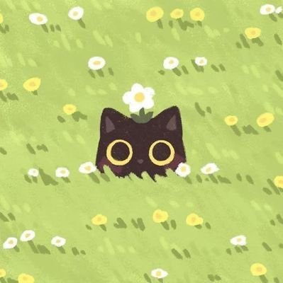 R51915San's profile picture. 