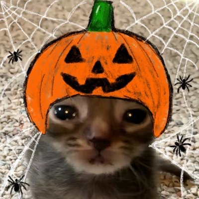 tortadefrango67's profile picture. uma tortita uma simples torta pequena e frágil uma tortinha de frango mt deliciosa uma torta de frango (tenho dona!!) #amomeustortiletes